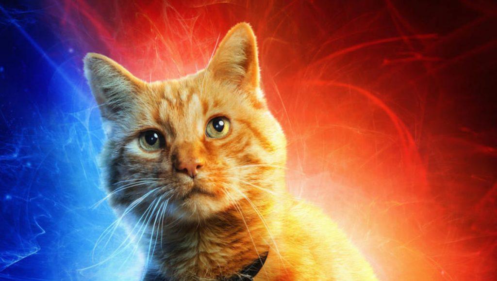 1 april: Goose krijgt eigen solofilm