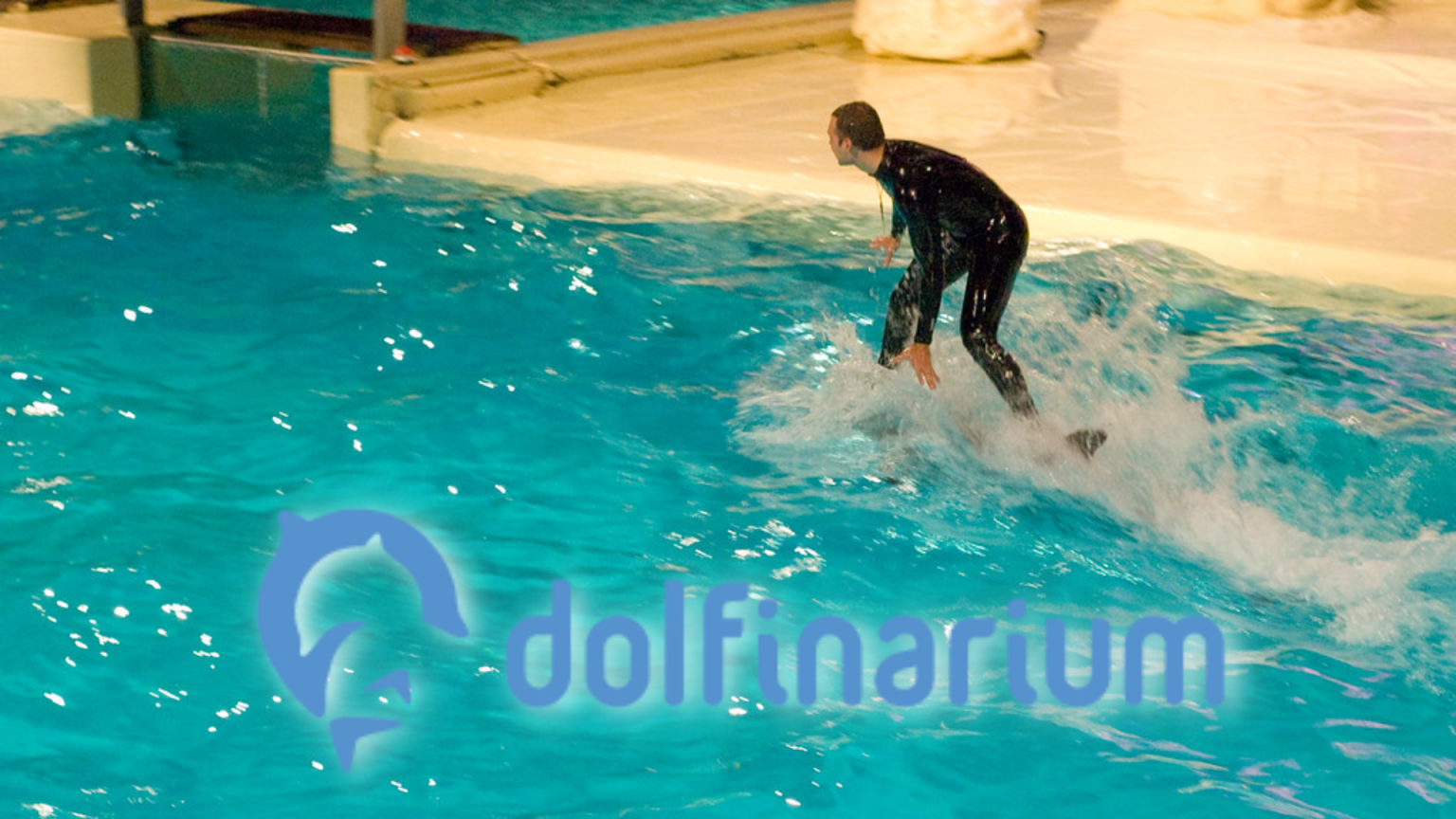 dolfinarium