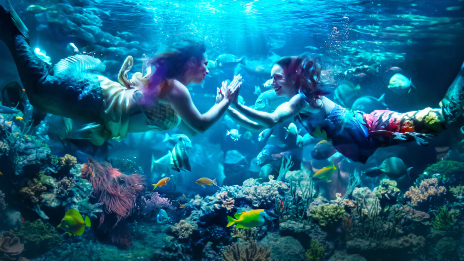 MerPeople: feelgood documentaire over professionele zeemeerminnen netflix-merpeople-zeemeermin-serie
