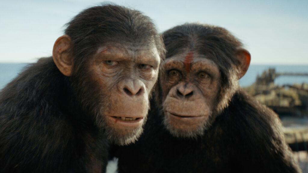 Kingdom of the Planet of the Apes Noa en Soona