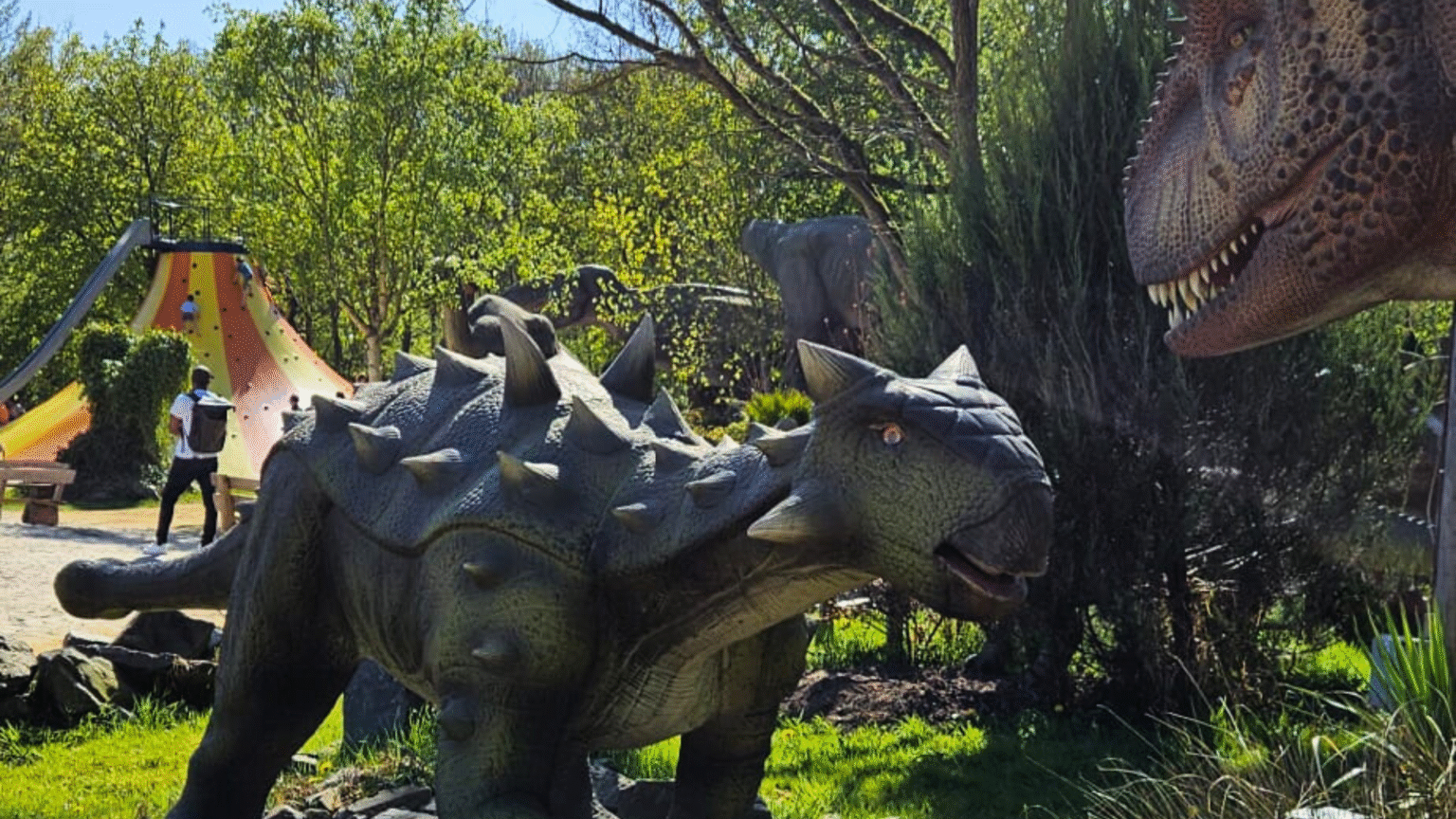 Dinoland Zwolle: voor dinofans van alle leeftijden Dinoland-zwolle-ankylosaurus