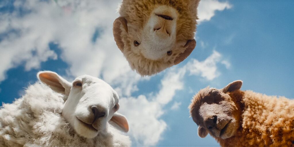 The Sheep Detectives is een wollig moordmysterie met verrassend veel gevoel The Sheep Detectives