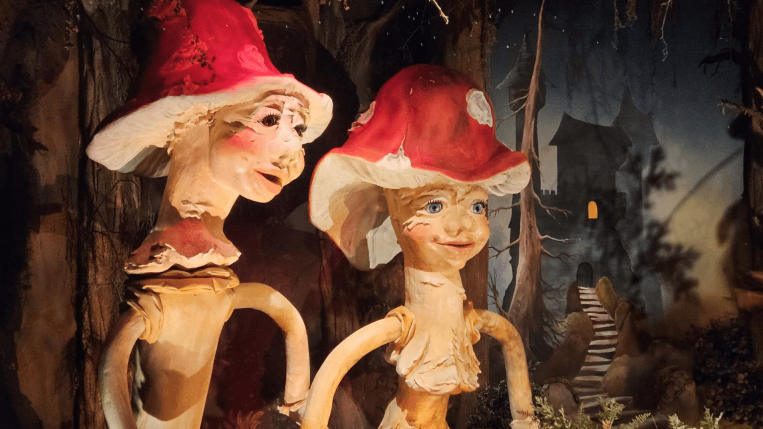 Zingende paddenstoelen uit Sprookjeswonderland Tijdhuis